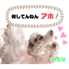 ichinago