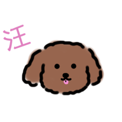 bobo doodle