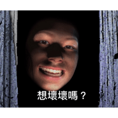 喵喵喵的日常