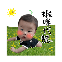 小豬愷愷