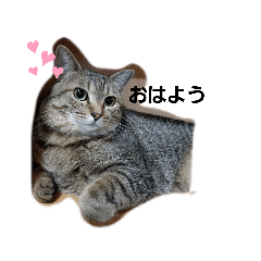 hinata_20190923025145