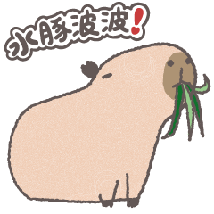 Capybara-Bobo