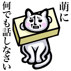 Stray cat!! Moe Megumi Hajime