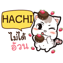 HACHI A Lazy Pussycat e