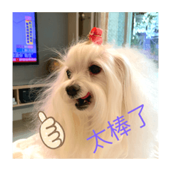 Anita漂亮小姐喔