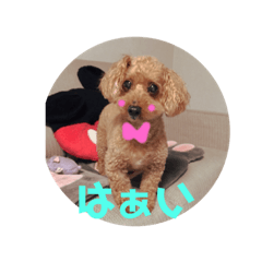 ALICE_20190923101154