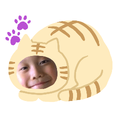 宸篇集合