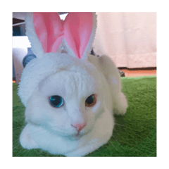 kyon_20190923143441