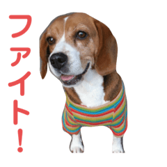 Hiroki_20190923023628