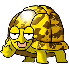 I like tortoises! Part 1