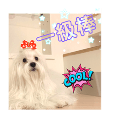 Nina幸福媽媽