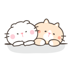 Tsuru and Tora Funny Kittens