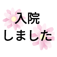 kaoru_20190923193048