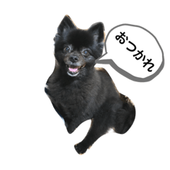 Yokotani's Dogs