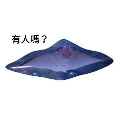 生物擬人-海洋篇