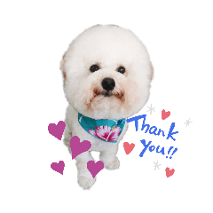 Kyoko_20190923193623