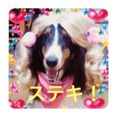 Ayumi_20190923210013