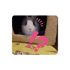 akari_20190923214316