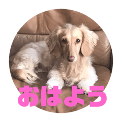 kurumi_20190923223549