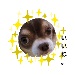 haruna_20190923223004