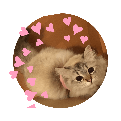 yukko_20190923220858