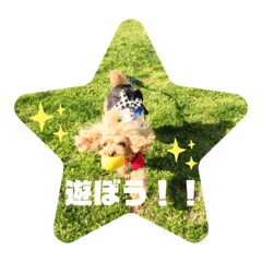 mugi_20190923234237