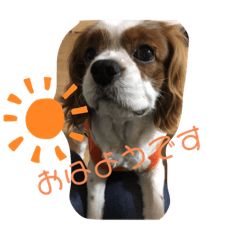 IMO_20190923234235