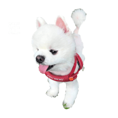 哈利190924