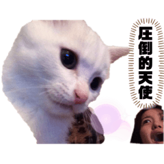 kondo_20190924125438
