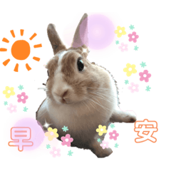 有個女孩叫ㄉㄨㄞㄉㄨㄞ日常篇