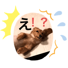 koyutan  2
