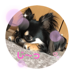 pyon_20190924115106