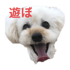 happylife2019