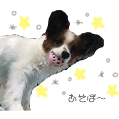 yukari_20190924204202