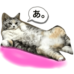 bubu_20190924234146