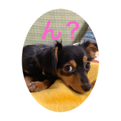 kyoko_20190925095518