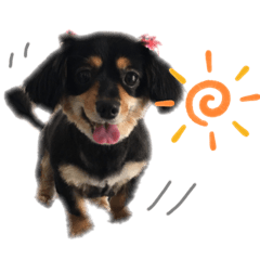 rinchon_20190925100230