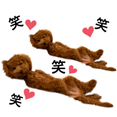 sally_20190925100631