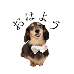 milky_20190925222132a