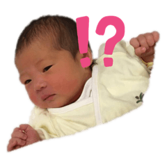 nannosutanpu?yukinanosutanpu