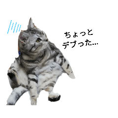 Hayato_20190926140525