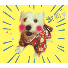 kurumi_20190926231555