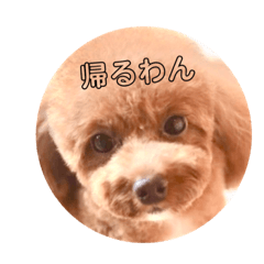 Coo kuu