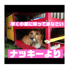 nozomi_20190928003059