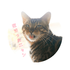 tori_20190930191032