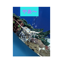 melon_20190930221710