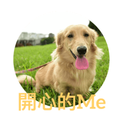 偶咦