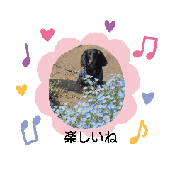 junko_20190930213545