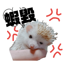 可愛又可恨
