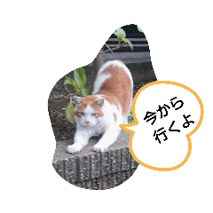 hikari_20191002093210